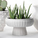 Aegean Pedestal 14.5 X 9 inch Bowl