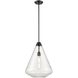 St. Julian 1 Light Graphite Pendant Ceiling Light in Clear Glass