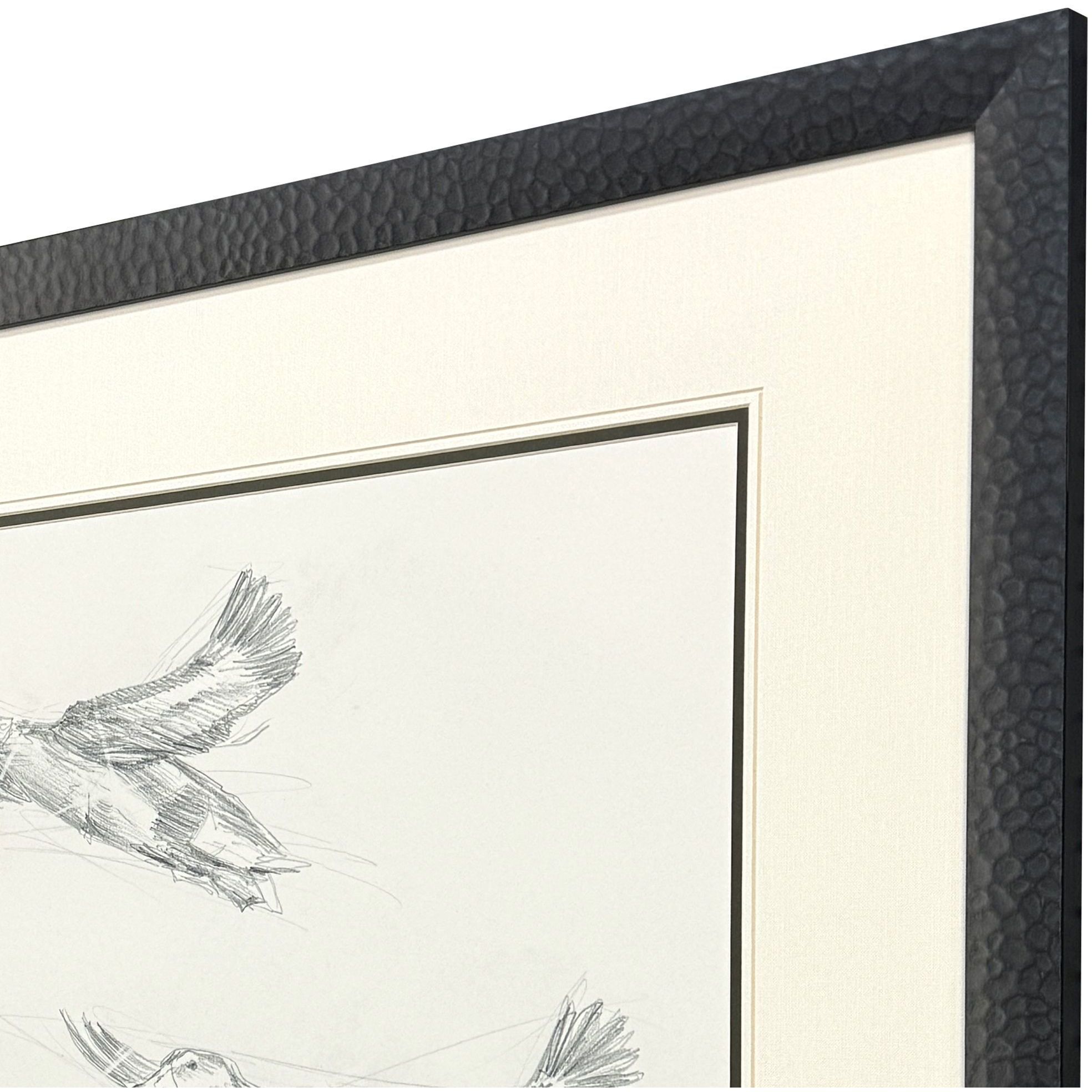 Mallard Duck Sketch Black and Beige and Gray Framed Art