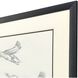 Mallard Duck Sketch Black and Beige and Gray Framed Art