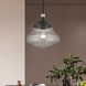 Avondale 1 Light 9 inch Black with Brushed Nickel Accent Mini Pendant Ceiling Light