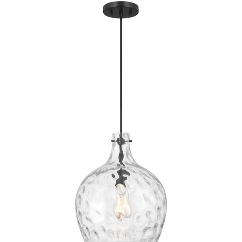 Coastal 1 Light 12.75 inch Matte Black Pendant Ceiling Light