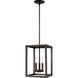 Moffet Street 3 Light 10.5 inch Bronze Foyer Pendant Ceiling Light, Small