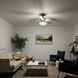 Renew Premier 52 inch Brushed Stainless Steel with Silver Blades Ceiling Fan