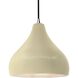 Radiance 1 Light 11.5 inch Vanilla Gloss and Brushed Nickel Pendant Ceiling Light