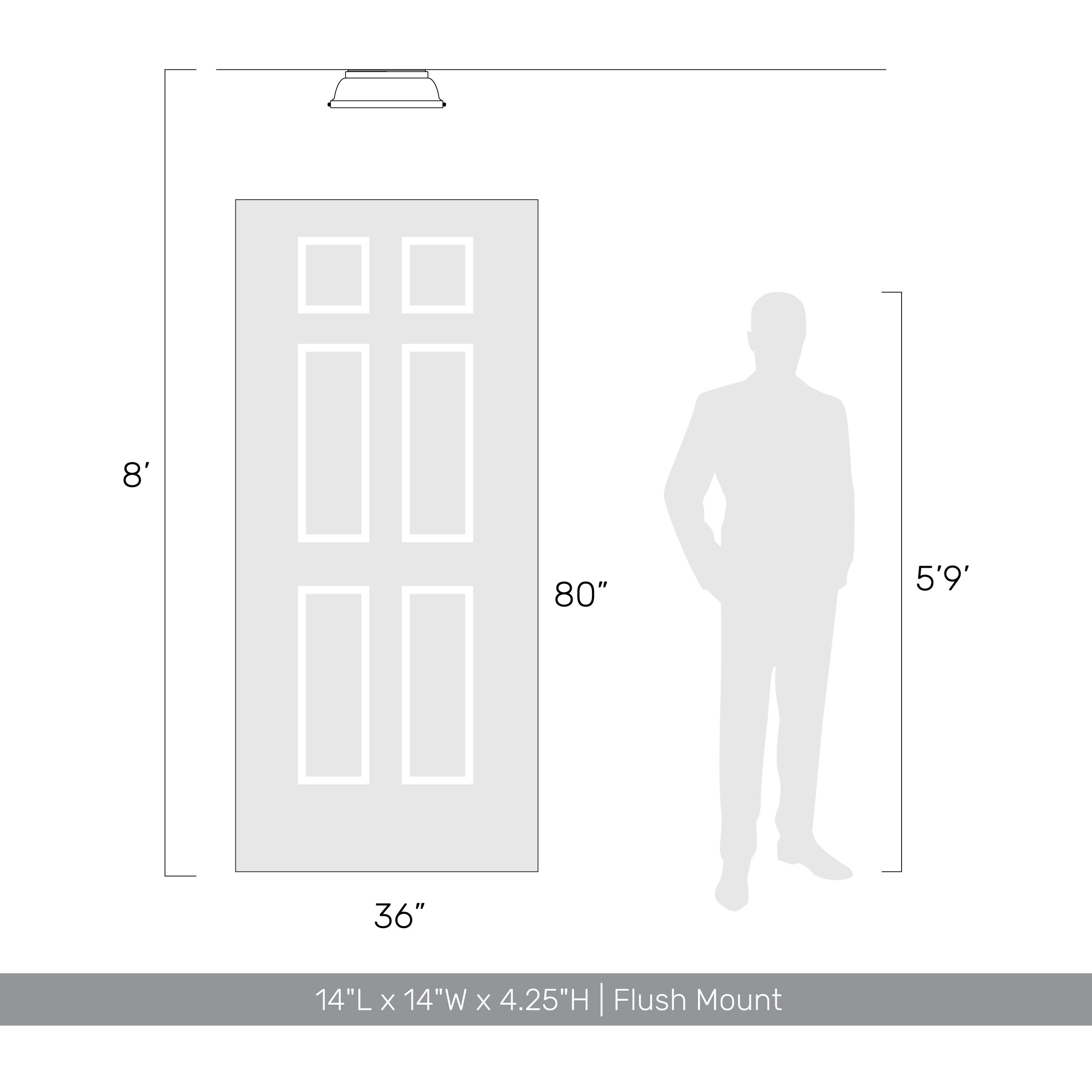 Yep Duncan 2 Light 14 inch Pewter Flush Mount Ceiling Light in White, Damp