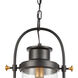 Trenton 8 inch 100.00 watt Matte Black/Brushed Brass Outdoor Hanging Light