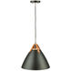 Tote LED 14 inch Black Pendant Ceiling Light