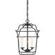 Gallery 3 Light 10 inch Royal Ebony Foyer Pendant Ceiling Light