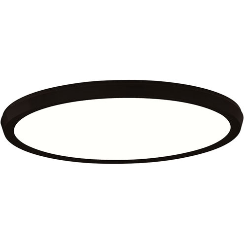 Argo LED 15 inch Black Flush Mount Ceiling Light