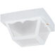 Outdoor Ceiling 2 Light 10.25 inch White Outdoor Ceiling Flush Mount