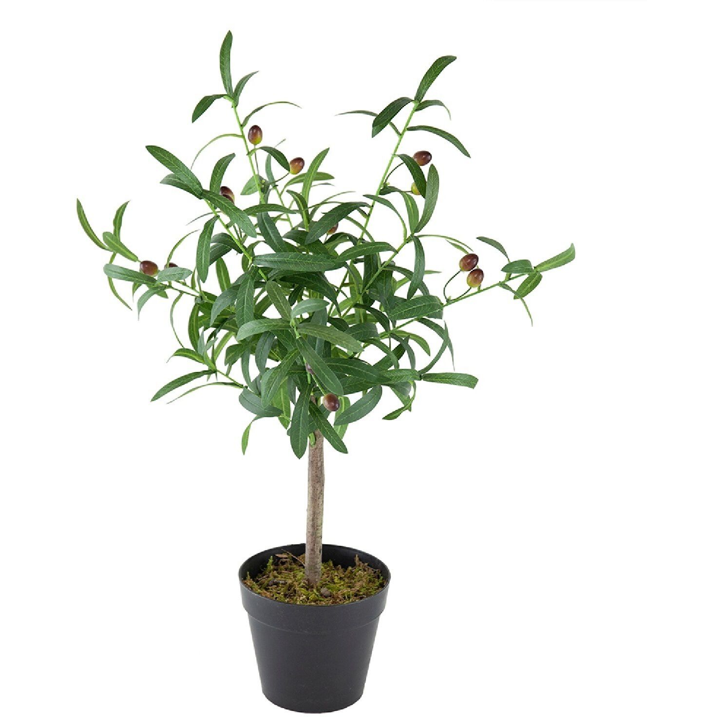 Olive Tree Green and Black Faux Plant