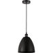 Edison Dome 1 Light 9 inch Matte Black Mini Pendant Ceiling Light