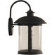 O'Fallon 1 Light 15 inch Dark Bronze Gilded Outdoor Wall Mount