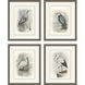 Animals Gray and Beige and Neutral and White Framed Art