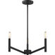 Vector 3 Light 18 inch Midnight Black Chandelier Ceiling Light
