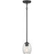 Miravelle 1 Light 5.25 inch Matte Black Mini Pendant Ceiling Light