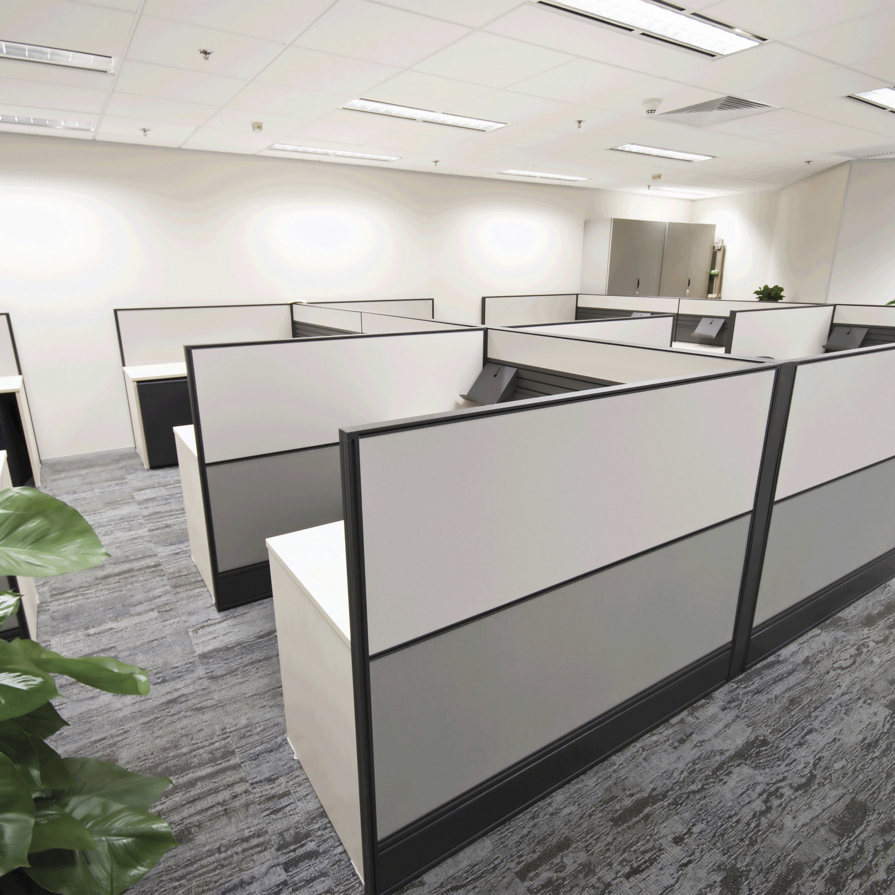 Lumos LED Medium Bi Pin T8 9.50 watt 5000K Light Bulb