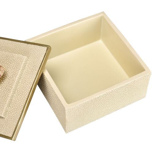 Brenner 5.25 X 5.25 inch Off White with Brown Box