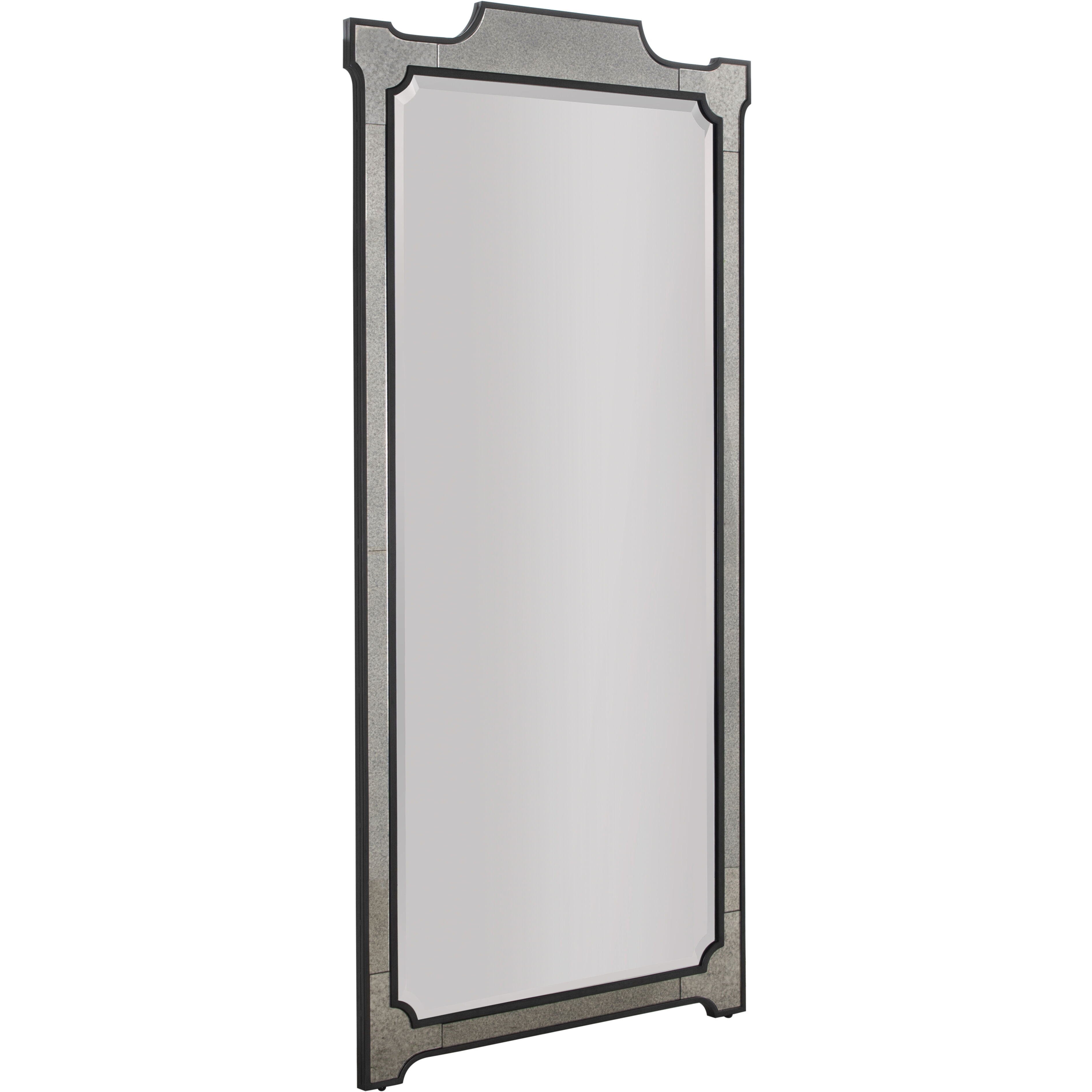 Chantel 77.75 X 37 inch Clean Mirror and Antique Mirror with Black Forged Iron Mirror