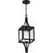 Raeburn 1 Light 8.5 inch Matte Black with Burnished Brass Outdoor Hanging Lantern