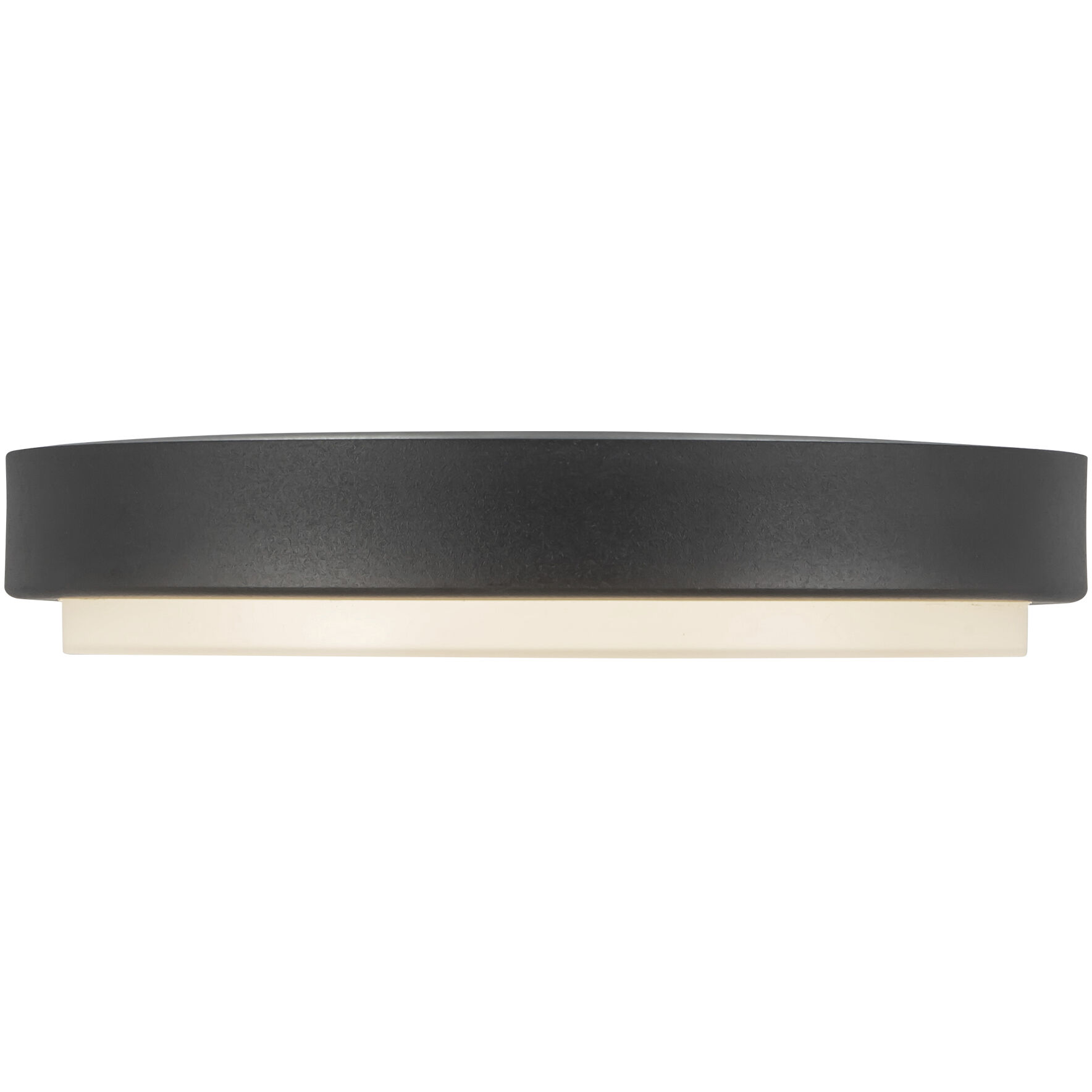 Bailey 9 inch Black Exterior Ceiling