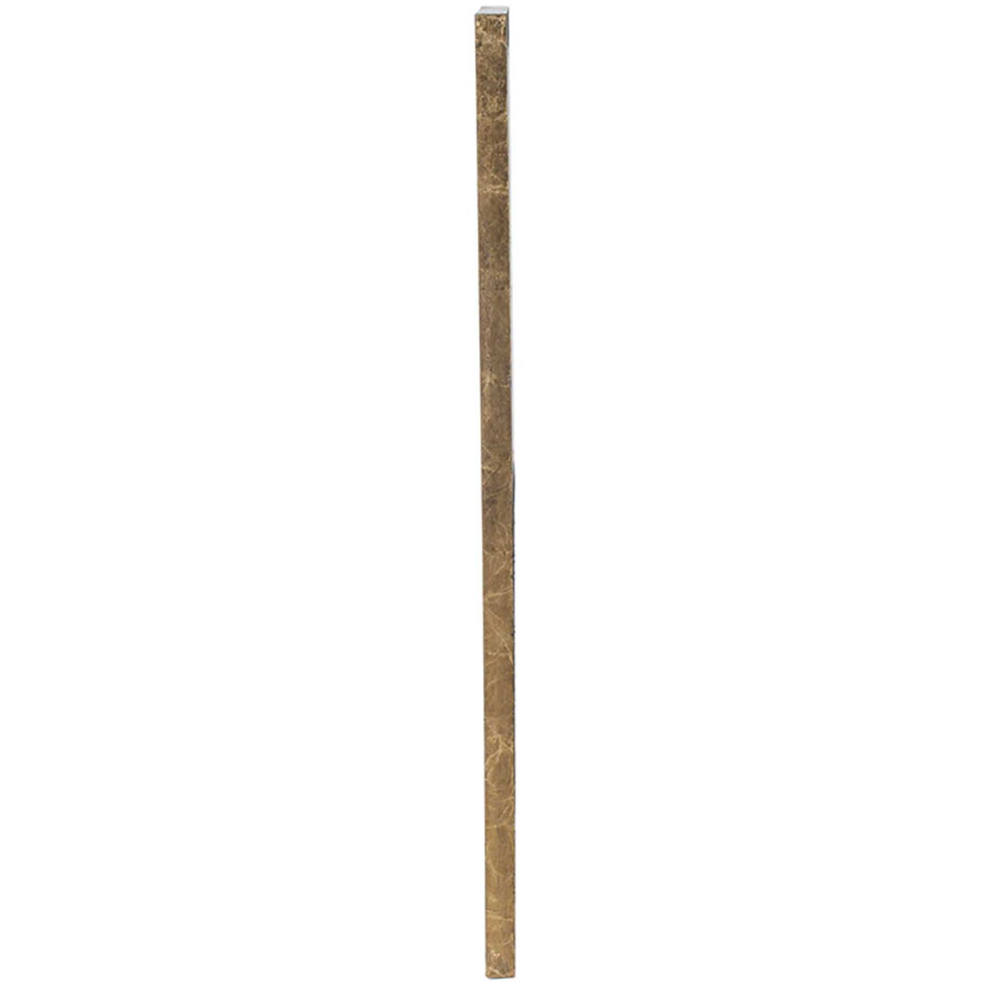 Anita 48 X 15.9 inch Clear and Gold Wall Mirror