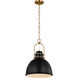 C&M by Chapman & Myers Upland 1 Light 15.5 inch Midnight Black and Burnished Brass Pendant Ceiling Light in Midnight Black / Burnished Brass