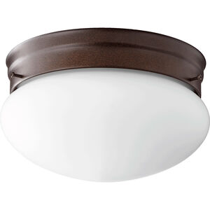 Fort Worth 2 Light 9.75 inch Flush Mount