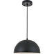 Forte 1 Light 12 inch Black Pendant Ceiling Light