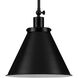 Hinton 1 Light 12.25 inch Matte Black Pendant Ceiling Light