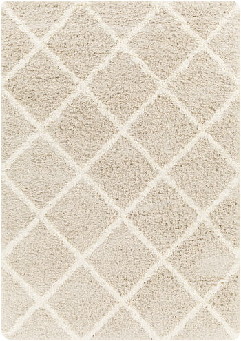 Urban Shag 114 X 79 inch Light Beige Rug, Rectangle