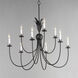 Paloma 9 Light 36 inch Anthracite Chandelier Ceiling Light