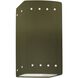 Ambiance LED 5.25 inch Matte Green Wall Sconce Wall Light