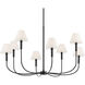 Eadie 8 Light Black Chandelier Foyer Ceiling Light