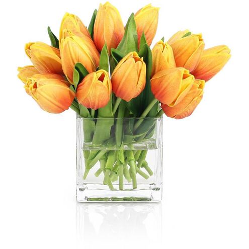 Sunburst Tulips Botanical/Floral