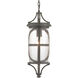 Morrison 1 Light 8 inch Antique Bronze Outdoor Hanging Lantern, Design Series