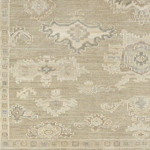 Antalya 144 X 108 inch Light Brown Rug, Rectangle