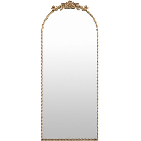 Aarlen 70 X 28 inch Antiqued Full Length Wall Mirror