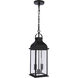 Bent Tree 2 Light 7 inch Midnight Outdoor Pendant