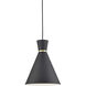 Vanderbilt 1 Light 9.88 inch Black With Gold Detail Pendant Ceiling Light