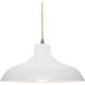 Radiance 1 Light 13.5 inch Gloss White and Brushed Nickel Pendant Ceiling Light
