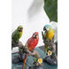 Macaw Brown and Multi-Color Figurine, Set of 3