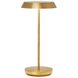 Sean Lavin Tepa 13.1 inch 2.20 watt Natural Brass Outdoor Rechargeable Table Lamp