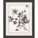 Playing Flower Brown and Blue and Pink and Multi Framed Art