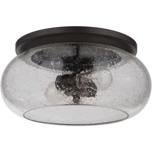 Neighborhood Serene 2 Light 14.50 inch Flush Mount