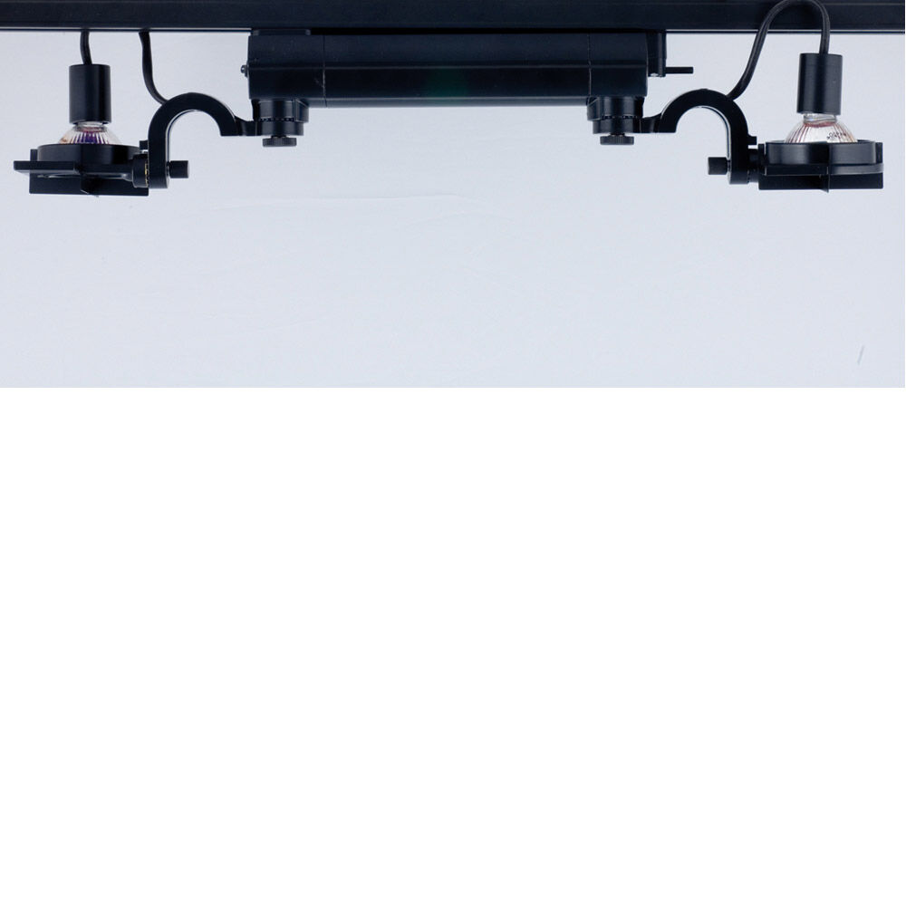 Contempo 2 Light 120V Silver Track Lighting Ceiling Light