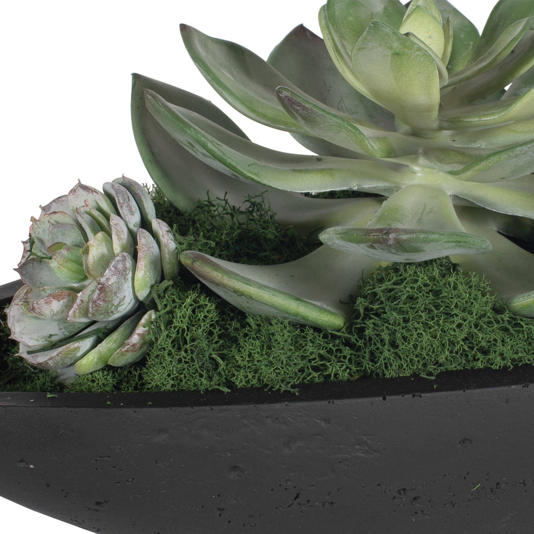 Verde Succulent Black and Green Centerpiece In Bowl