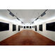 H-Type 1 Light 120V Black Track Head Ceiling Light