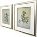 Ferns Aglow Green Framed Art, Propac